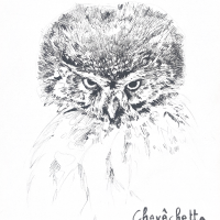 Chiara Bonotto - plasticiens/nes